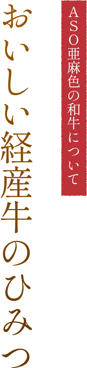 おいしい経産牛のひみつ