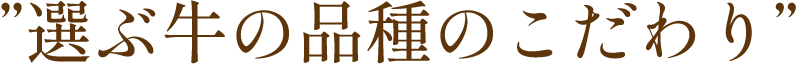 選ぶ牛の品種のこだわり