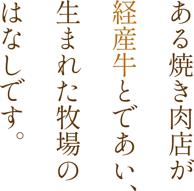 ある焼き肉店が経産牛とであい、生まれた牧場のはなしです。